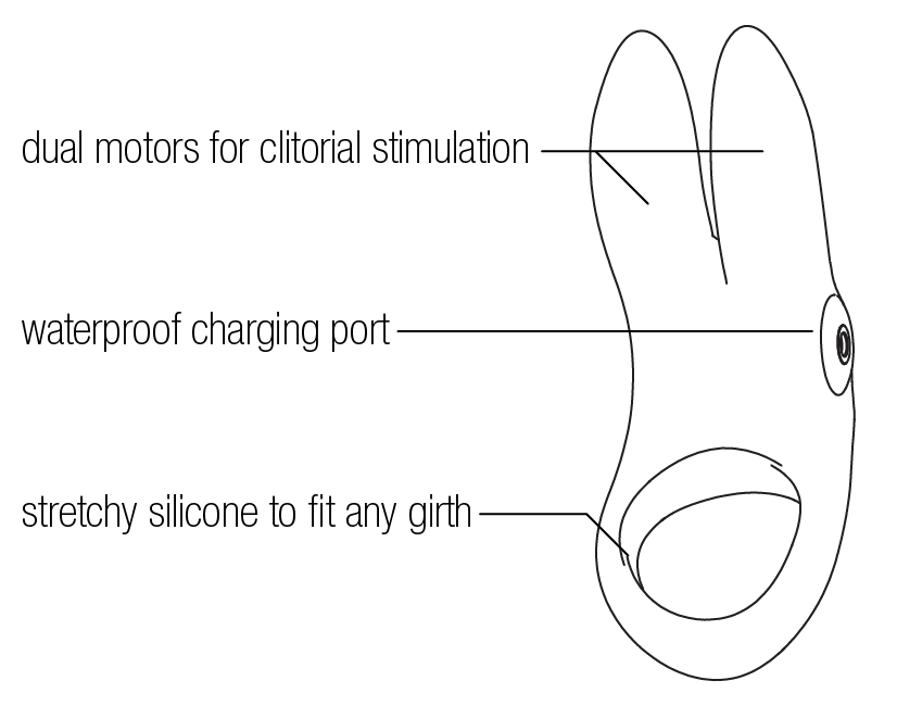 sexy bunny - line drawing